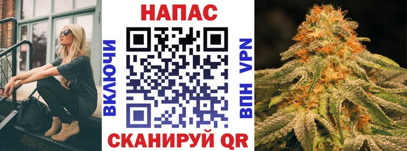 Конопля сатива Ликино-Дулёво